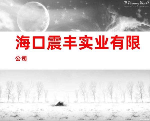 海口震丰实业有限公司