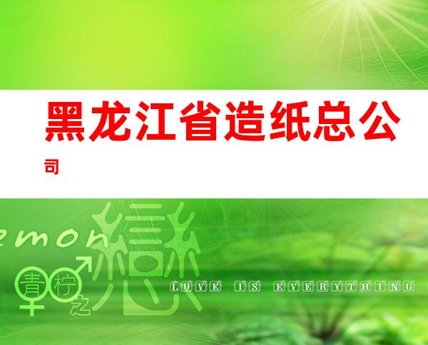 黑龙江省造纸总公司