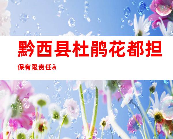 黔西县杜鹃花都担保有限责任公司